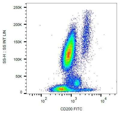 Flow Cytometry: CD200/OX2 Antibody (OX-104) - BSA Free [NB100-64860]