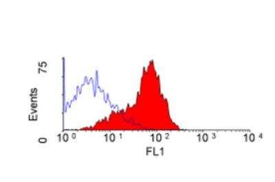 Flow Cytometry: CD200/OX2 Antibody (OX-2) - BSA Free [NB100-65320]