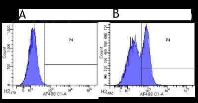 Flow Cytometry: CD200R1 Antibody (OX108) - Azide and BSA Free [NBP2-52694]