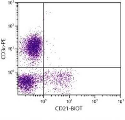 Flow Cytometry: CD21 Antibody (BB6-11C9.6) - Azide and BSA Free [NBP1-28245]