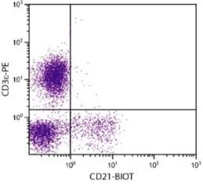 Flow Cytometry: CD21 Antibody (BB6-11C9.6) - Azide and BSA Free [NBP1-28245]