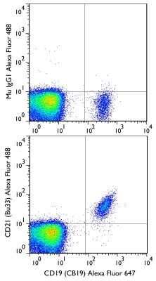 Flow Cytometry: CD21 Antibody (Bu33) - BSA Free [NB100-63574]