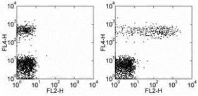 Flow Cytometry: CD23/Fc epsilon RII Antibody (EBVCS2) [NBP1-43433]