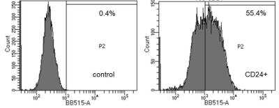 Flow Cytometry: CD24 Antibody (SN3) - BSA Free [NB100-64861]