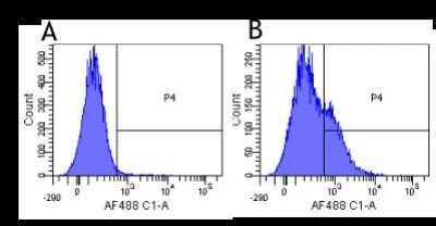 Flow Cytometry: CD25/IL-2R alpha Antibody (Basiliximab) - Chimeric - Azide and BSA Free [NBP2-52661]
