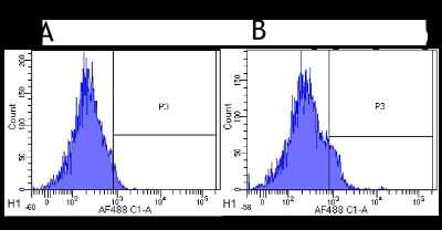 Flow Cytometry: CD25/IL-2R alpha Antibody (Basiliximab) - Chimeric - Azide and BSA Free [NBP2-52661]