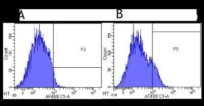 Flow Cytometry: CD25/IL-2R alpha Antibody (Basiliximab) - Chimeric - Azide and BSA Free [NBP2-52661]