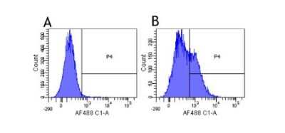 Flow Cytometry: CD25/IL-2R alpha Antibody (Daclizumab) - Chimeric - Azide and BSA Free [NBP2-52660]