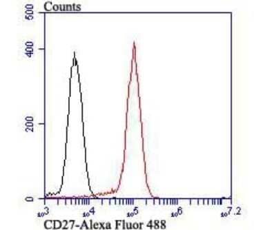 Flow Cytometry: CD27/TNFRSF7 Antibody (JB40-98) [NBP2-75434]