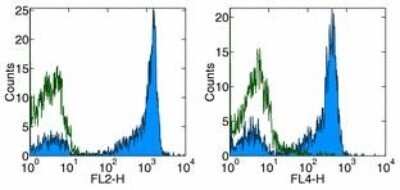 Flow Cytometry: CD27/TNFRSF7 Antibody (O323) [NBP1-43426]
