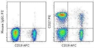 Flow Cytometry: CD27/TNFRSF7 Antibody (O323) [NBP1-43426]