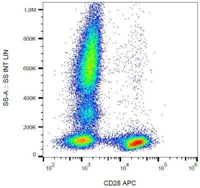 Flow Cytometry: CD28 Antibody (CD28.2) - BSA Free [NBP1-79126]