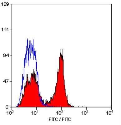 Flow Cytometry: CD28 Antibody (YTH913.12) - BSA Free [NB100-64867]