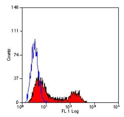 Flow Cytometry: CD28 Antibody (YTH913.12) - BSA Free [NB100-64867]
