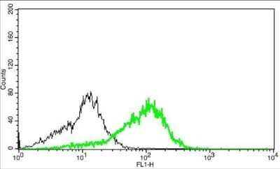 Flow Cytometry: CD3 Antibody (13) [NBP2-43674]