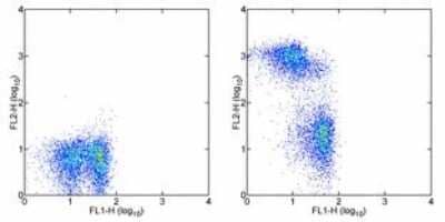 Flow Cytometry: CD3 Antibody (G4.18) - BSA Free [NBP1-43458]