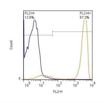 Flow Cytometry: CD3 Antibody (OKT3) - BSA Free [NBP2-25186]