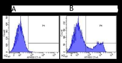 Flow Cytometry: CD3 epsilon Antibody (500A2) - Chimeric - Azide and BSA Free [NBP2-52643]