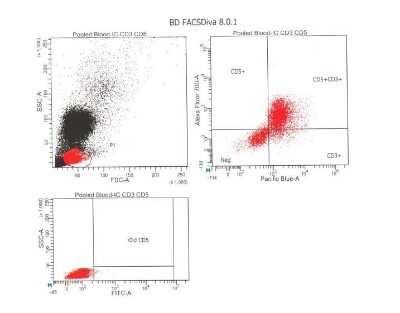 Flow Cytometry: CD3 epsilon Antibody (PC3/188A) - Azide and BSA Free [NBP2-54405]