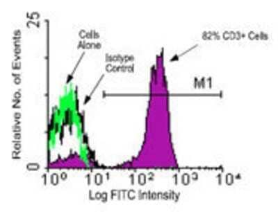 Flow Cytometry: CD3 epsilon Antibody (PPT3) - Azide and BSA Free [NBP1-28225]