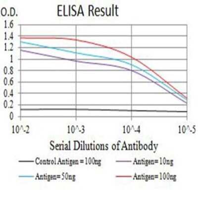 ELISA: CD3 gamma Antibody (5B7F9) - BSA Free [NBP2-61728]