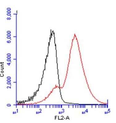 Flow Cytometry: CD3 gamma Antibody [NBP1-31250]