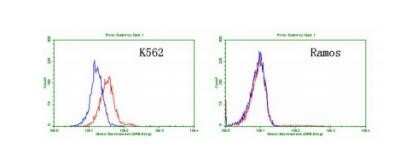 Flow Cytometry: CD30/TNFRSF8 Antibody (OTI1C6) - Azide and BSA Free [NBP2-70374]