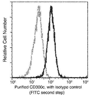 Flow Cytometry: CD300c Antibody (03) [NBP3-06451]