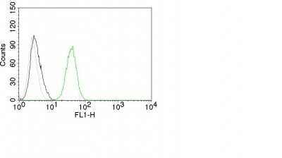 Flow Cytometry: CD31/PECAM-1 Antibody (C31.10) [NBP2-44340]