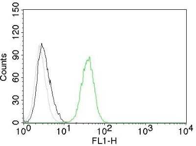 Flow Cytometry: CD31/PECAM-1 Antibody (C31.10) [NBP2-44340]