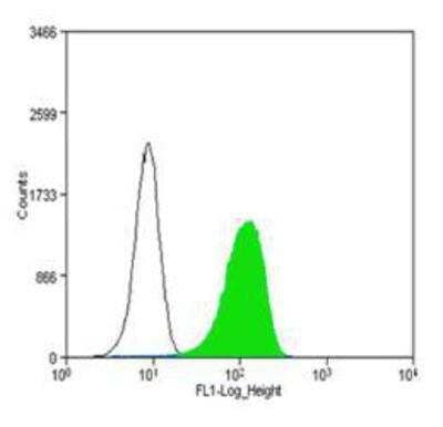 Flow Cytometry: CD31/PECAM-1 Antibody (MEC 7.46) [NB100-1642]