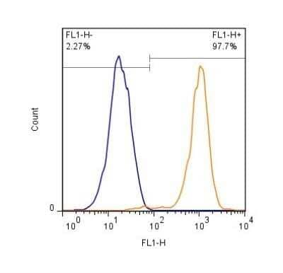 Flow Cytometry: CD31/PECAM-1 Antibody (TLD-3A12) - BSA Free [NB100-64796]