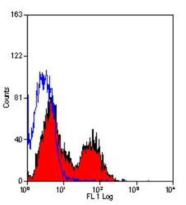 Flow Cytometry: CD31/PECAM-1 Antibody (LCI-4) - BSA Free [NB100-65336]