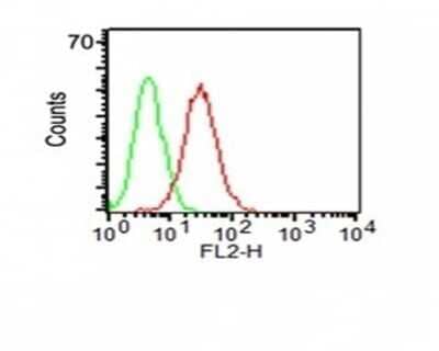 Flow Cytometry: CD34 Antibody (HPCA1/1171) - Azide and BSA Free [NBP2-47911]