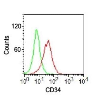 Flow Cytometry: CD34 Antibody (ICO-115) - Azide and BSA Free [NBP2-33076]