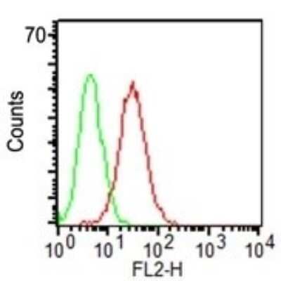 Flow Cytometry: CD34 Antibody (ICO-115) - Azide and BSA Free [NBP2-33076]