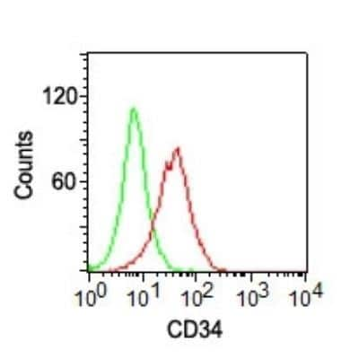 Flow Cytometry: CD34 Antibody (ICO-115) [NBP2-29455]