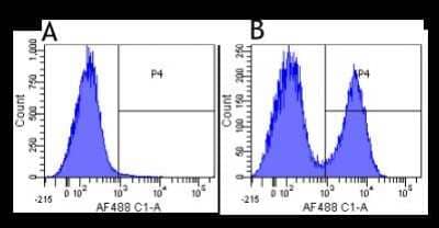 Flow Cytometry: CD35 Antibody (7G6) - Chimeric - Azide and BSA Free [NBP2-52667]