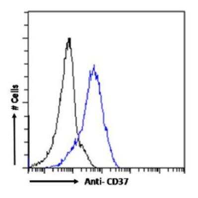 Flow Cytometry: CD37 Antibody (G28-1) - Chimeric - Azide and BSA Free [NBP3-09052]