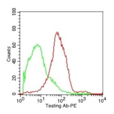 Flow Cytometry: CD37 Antibody (IPO-24) [NBP2-44750]