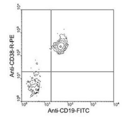 Flow Cytometry: CD38 Antibody (NIMR-5) - Azide and BSA Free [NBP1-27951]