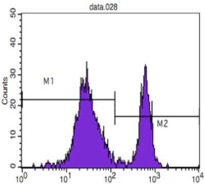 Flow Cytometry: CD4 Antibody (B486A1) - BSA Free [NB100-2181]