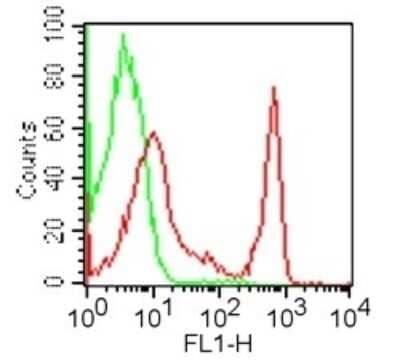 Flow Cytometry: CD4 Antibody (GK1.5) - BSA Free [NBP2-25191]