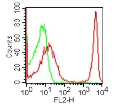 Flow Cytometry: CD4 Antibody (GK1.5) - BSA Free [NBP2-25191]