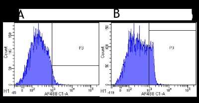 Flow Cytometry: CD4 Antibody (MT310) - Chimeric - Azide and BSA Free [NBP2-52663]