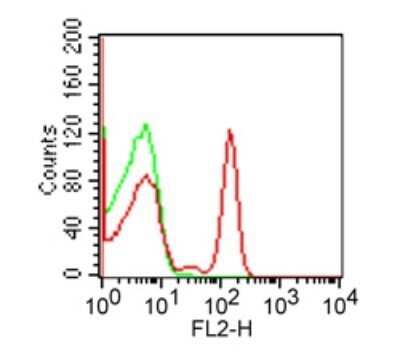 Flow (Cell Surface): CD4 Antibody (RPA-T4) - Azide and BSA Free [NBP2-27216]