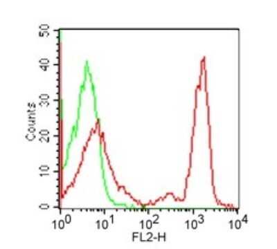 Flow Cytometry: CD4 Antibody (RPA-T4) - Azide and BSA Free [NBP2-27216]