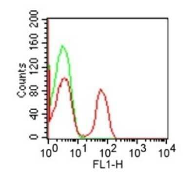 Flow Cytometry: CD4 Antibody (RPA-T4) - Azide and BSA Free [NBP2-25199]