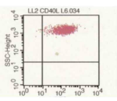 Flow Cytometry: CD40 Ligand/TNFSF5 Antibody (LL2) [DDX0141P-100]