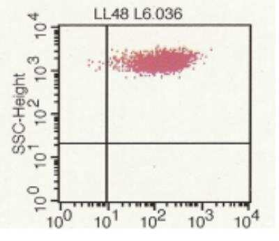 Flow Cytometry: CD40 Ligand/TNFSF5 Antibody (LL48) [DDX0140P-100]